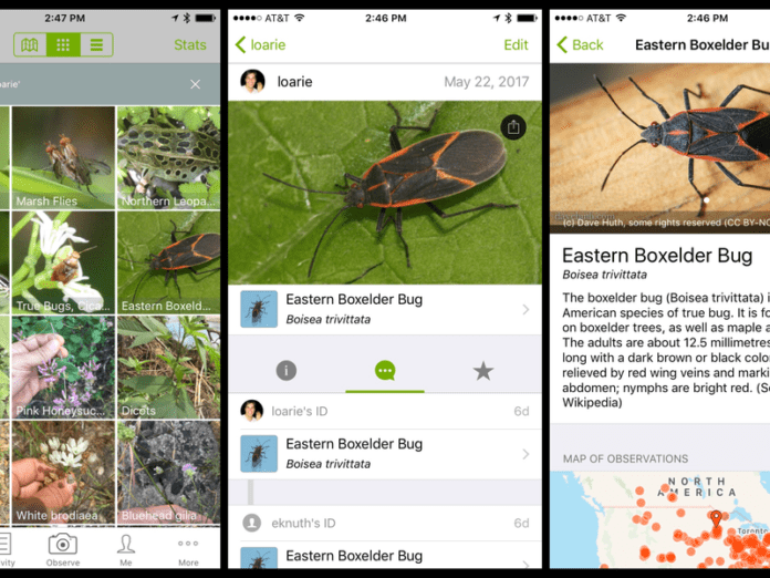 ‘INaturalist App’ let you identify animals& Plantswhile hiking