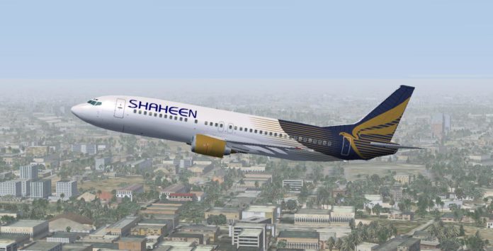 Shaheen air offices lines