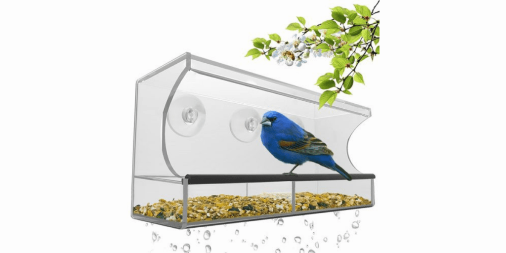 Natures hangout window bird feeder with removable tray