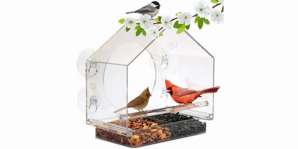 Window bird feeder by nature anywhere