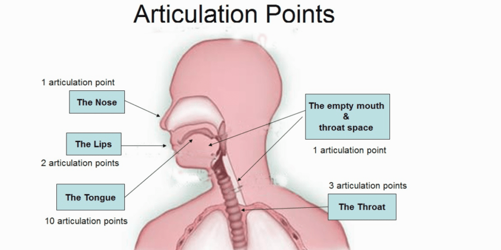 articulation points of arabic letters