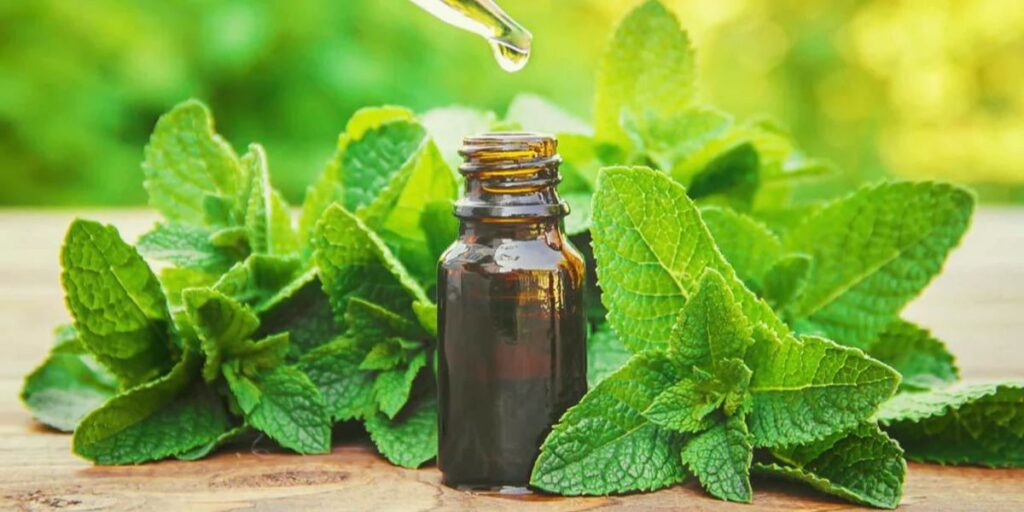 Pepper mint for Headaches