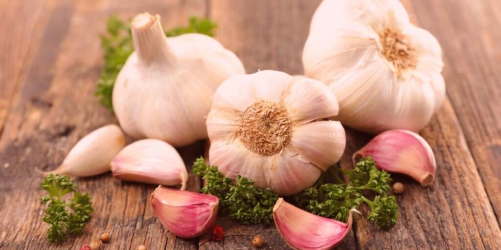Garlic for Immune Support: