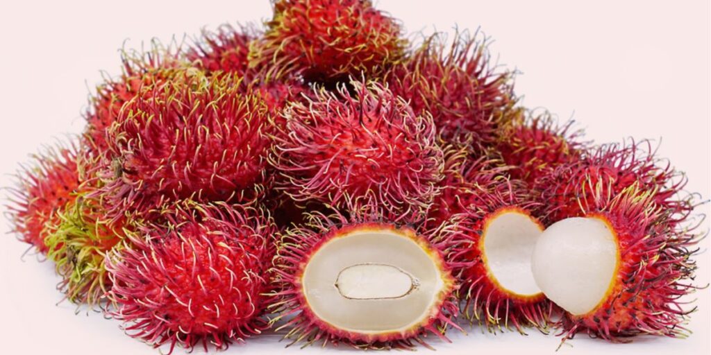 Rambutan