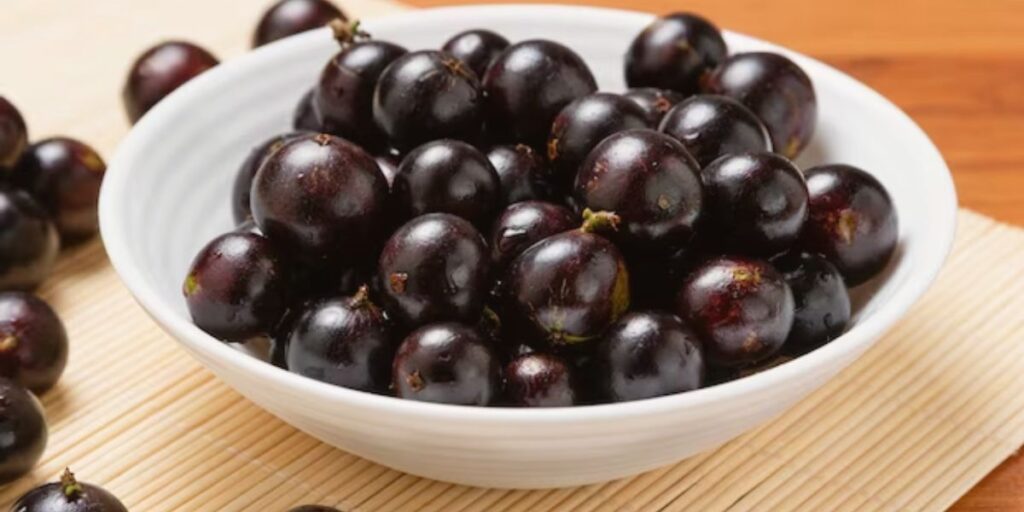 Jabuticaba