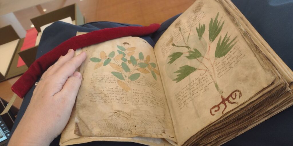 The Voynich Manuscript