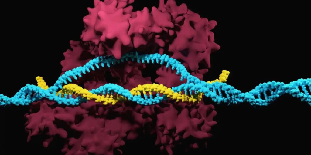 CRISPR-Cas9