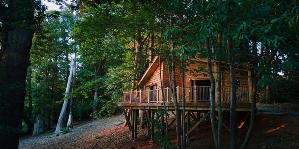 Treehouse Retreats