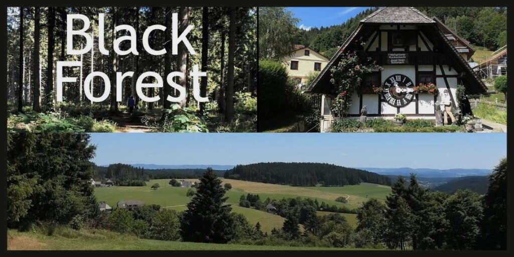 Black Forest