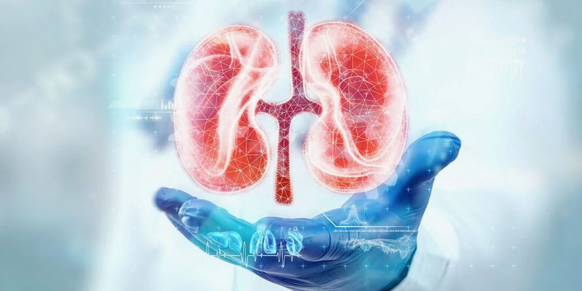 Detoxification and Kidney Health
